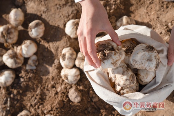相宜本草加盟